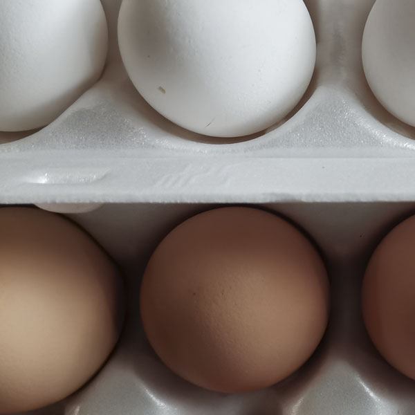 Куриные яйца